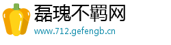 磊瑰不羁网